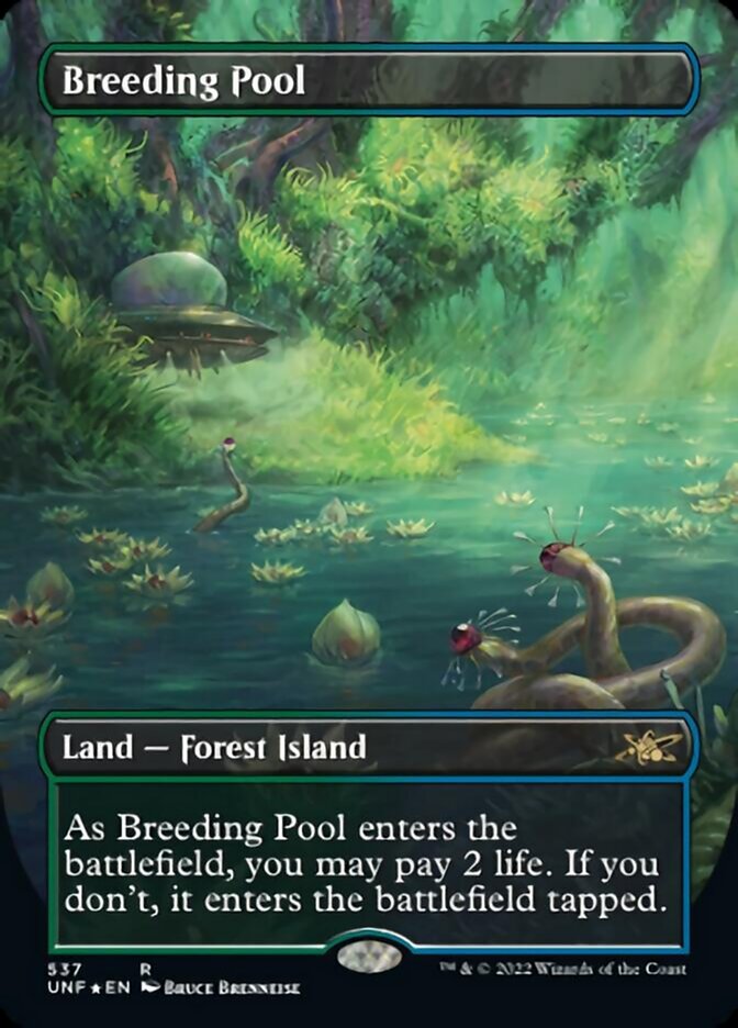 Breeding Pool (Borderless) (Galaxy Foil) [Unfinity] | Anubis Games and Hobby