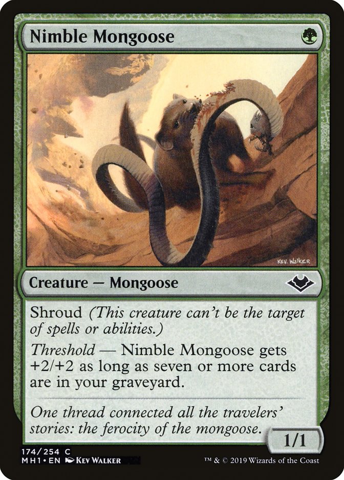 Nimble Mongoose [Modern Horizons] | Anubis Games and Hobby