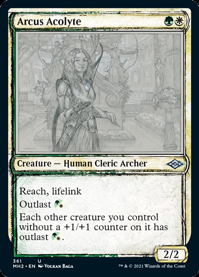 Arcus Acolyte (Sketch) [Modern Horizons 2] | Anubis Games and Hobby