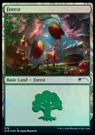 Forest (Predatory) (578) [Secret Lair Drop Promos] | Anubis Games and Hobby