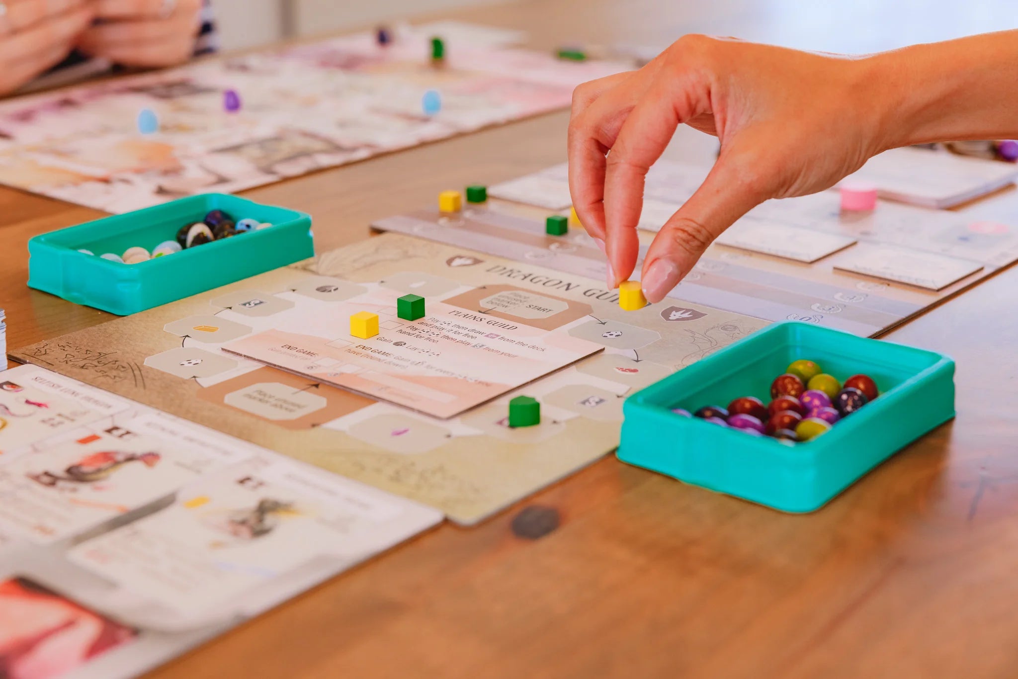 Wyrmspan | Anubis Games and Hobby