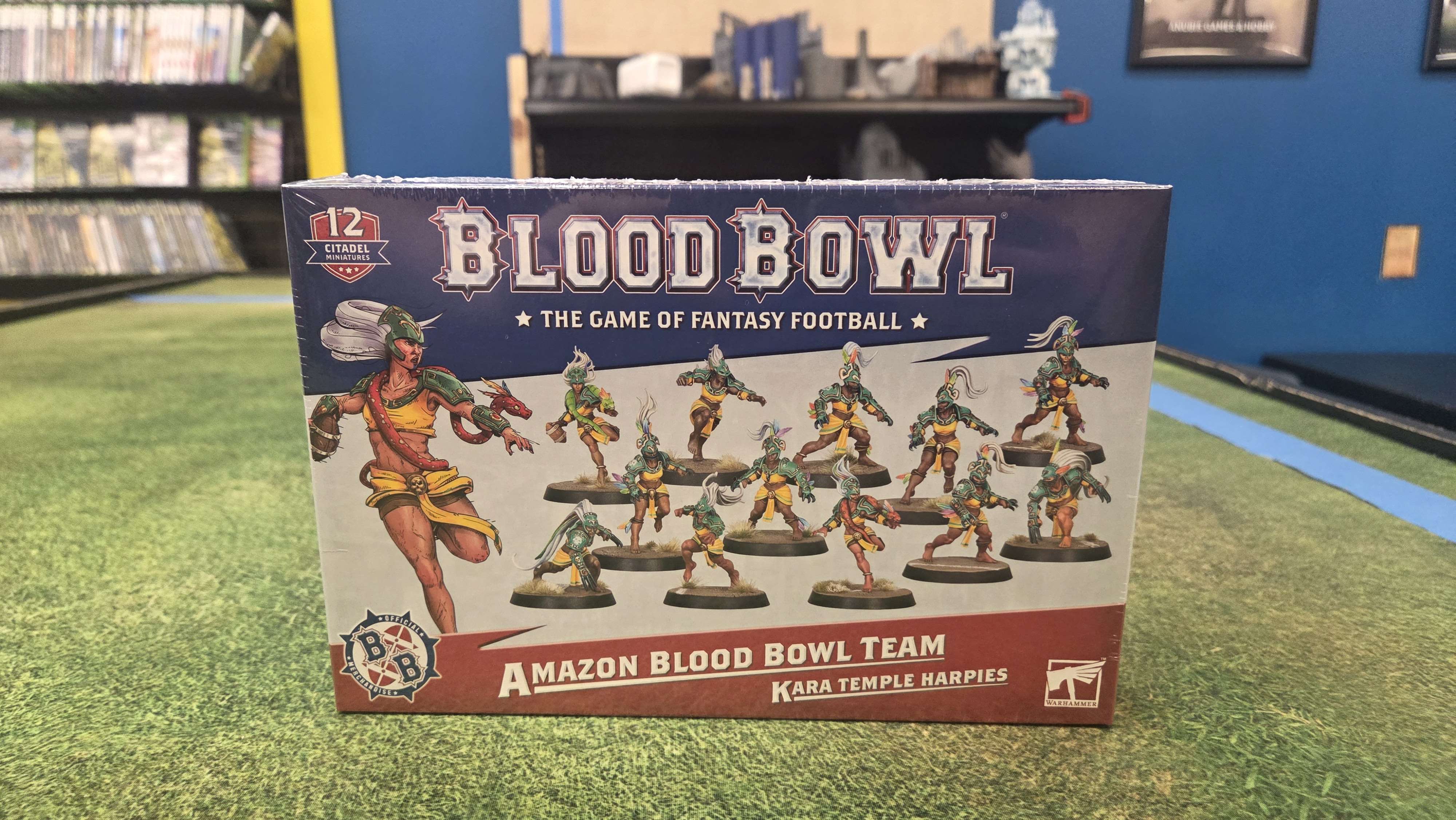 Blood Bowl - Amazon Team | Anubis Games and Hobby