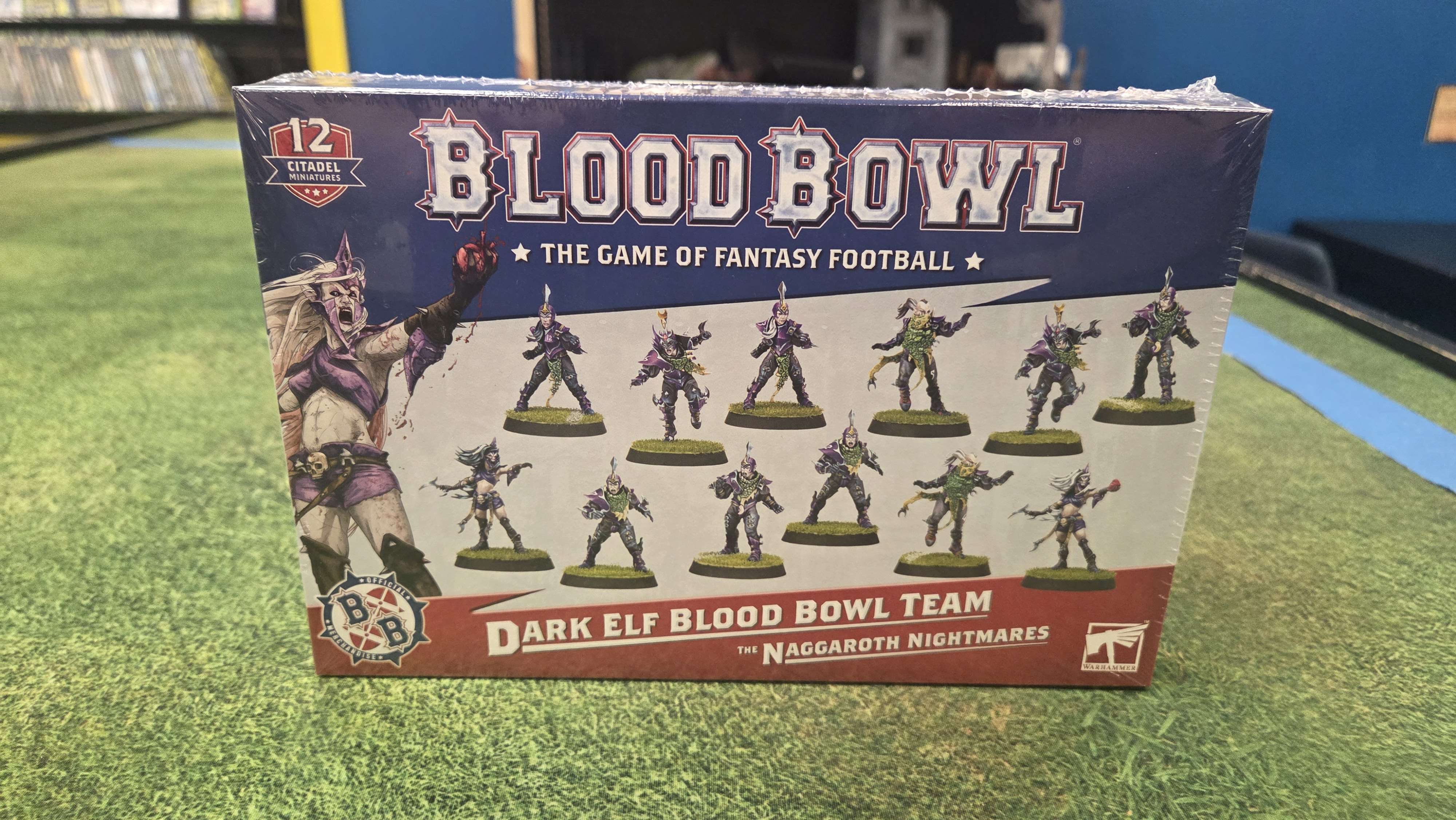 Blood Bowl- Dark Elf | Anubis Games and Hobby