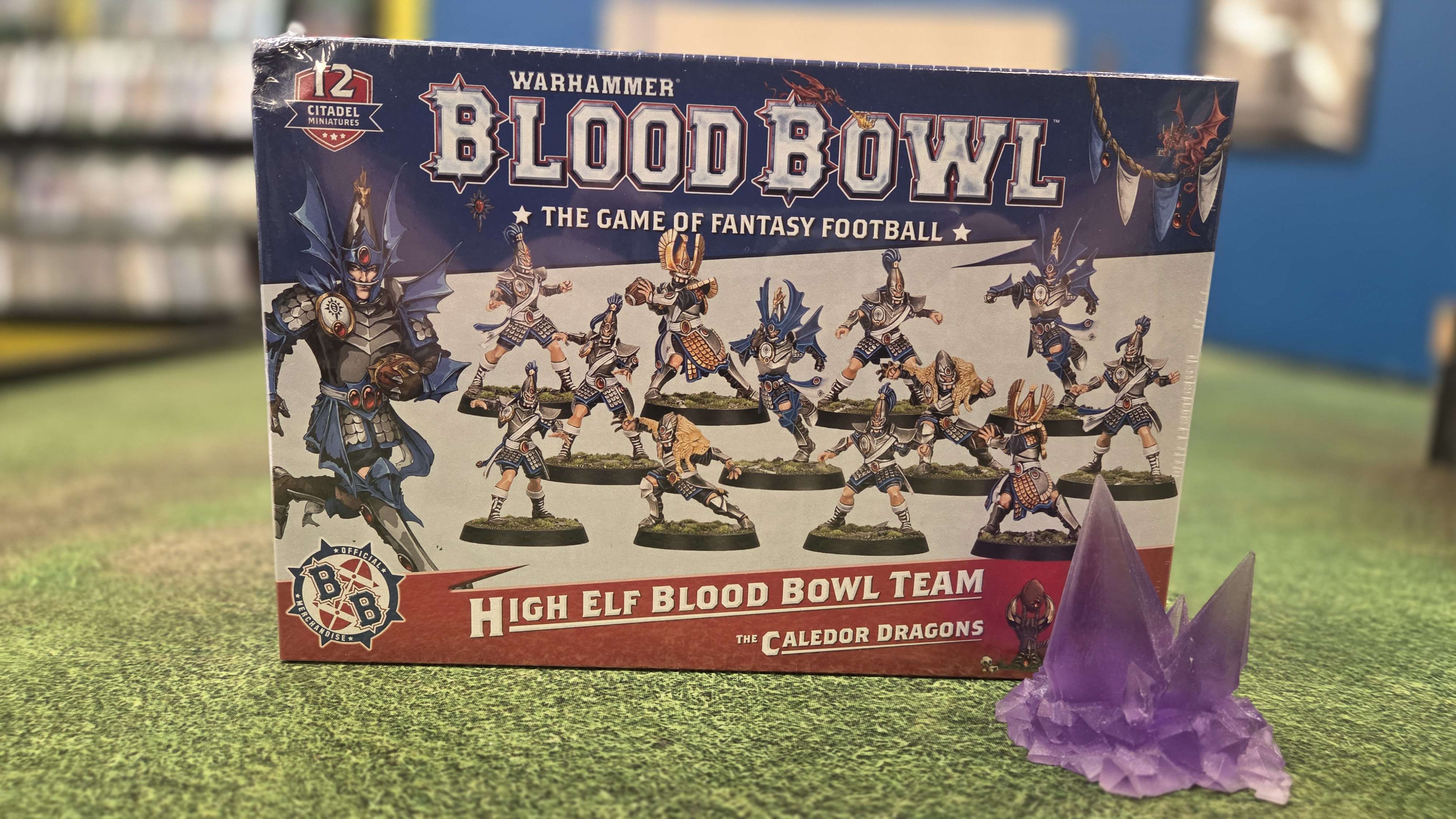 Blood Bowl - High Elf Team | Anubis Games and Hobby