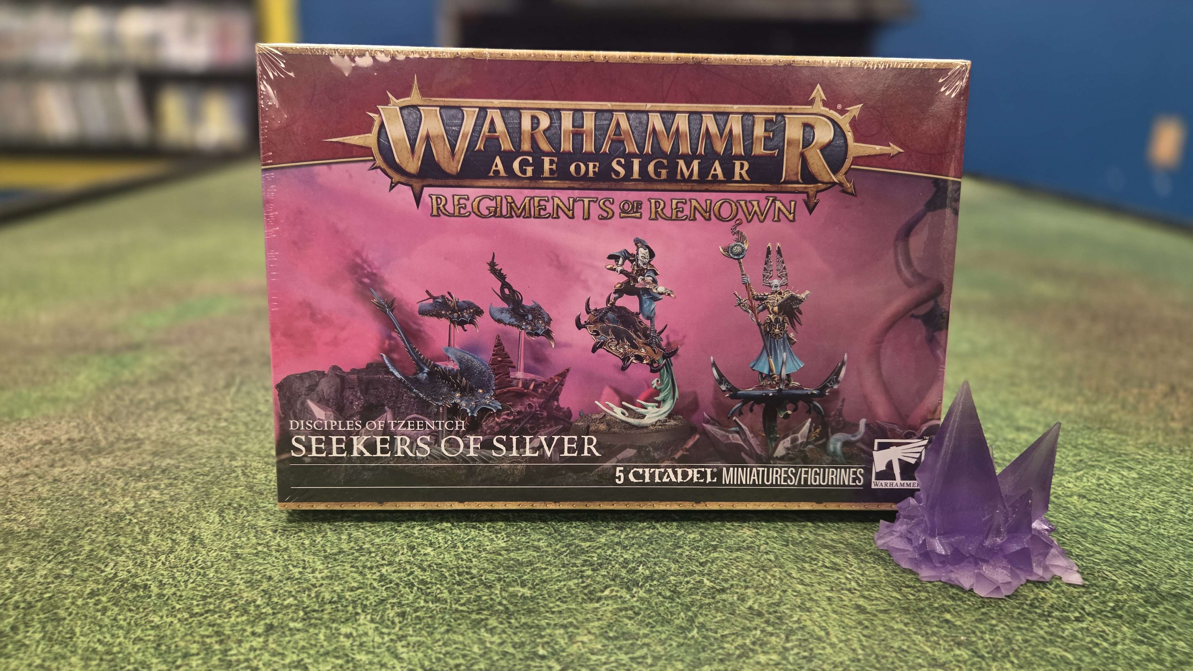 Disciples of Tzeentch -  Seekers of Silver | Anubis Games and Hobby