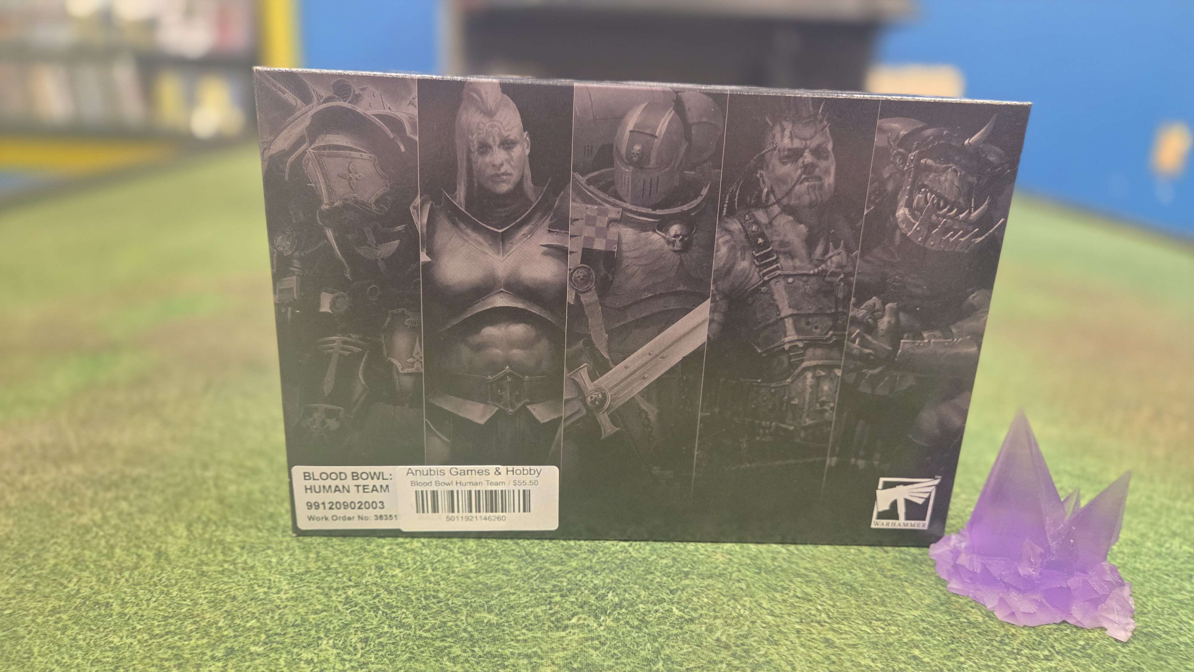 Blood Bowl Human Team | Anubis Games and Hobby
