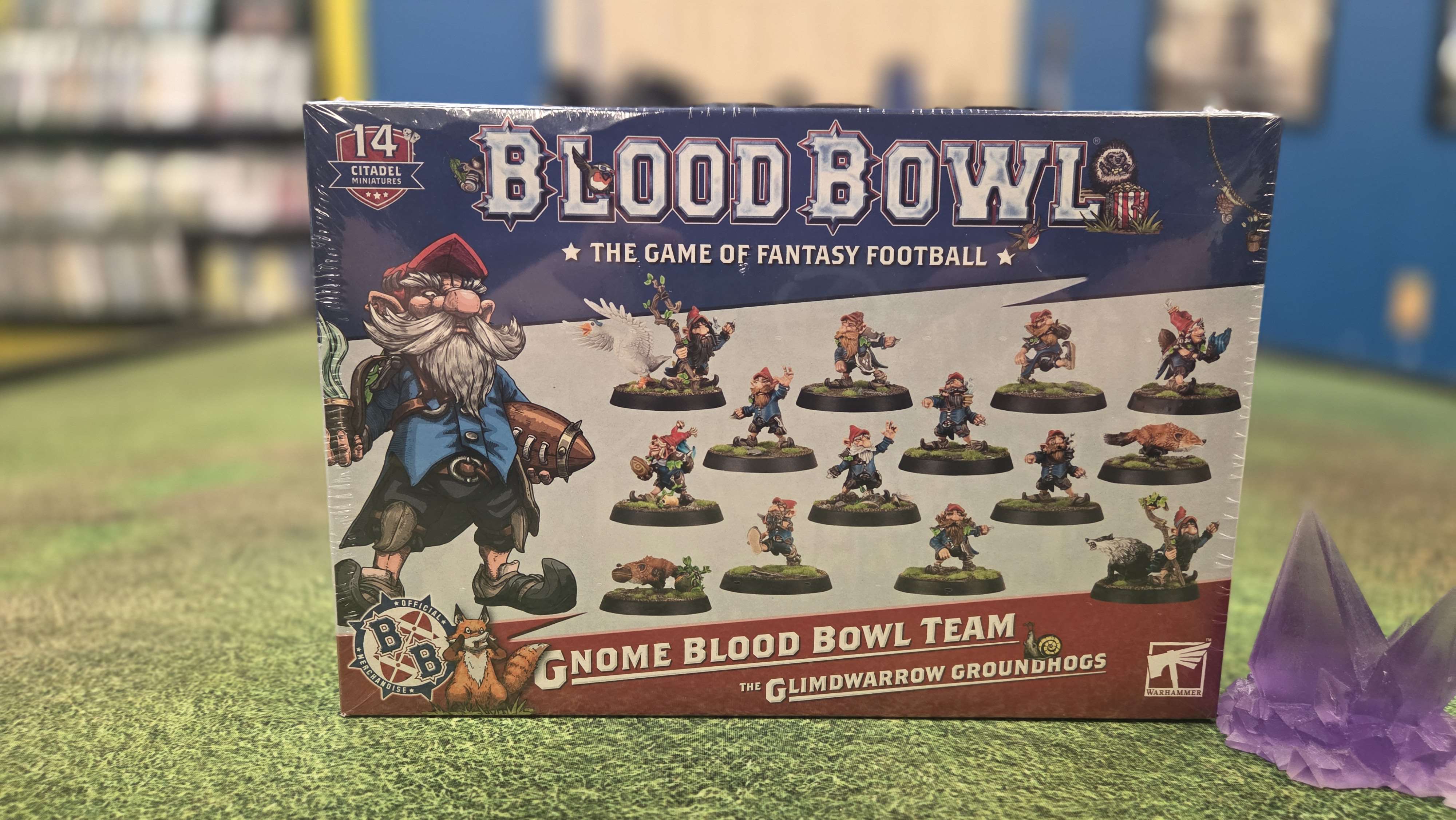 Blood Bowl - Gnome Team | Anubis Games and Hobby