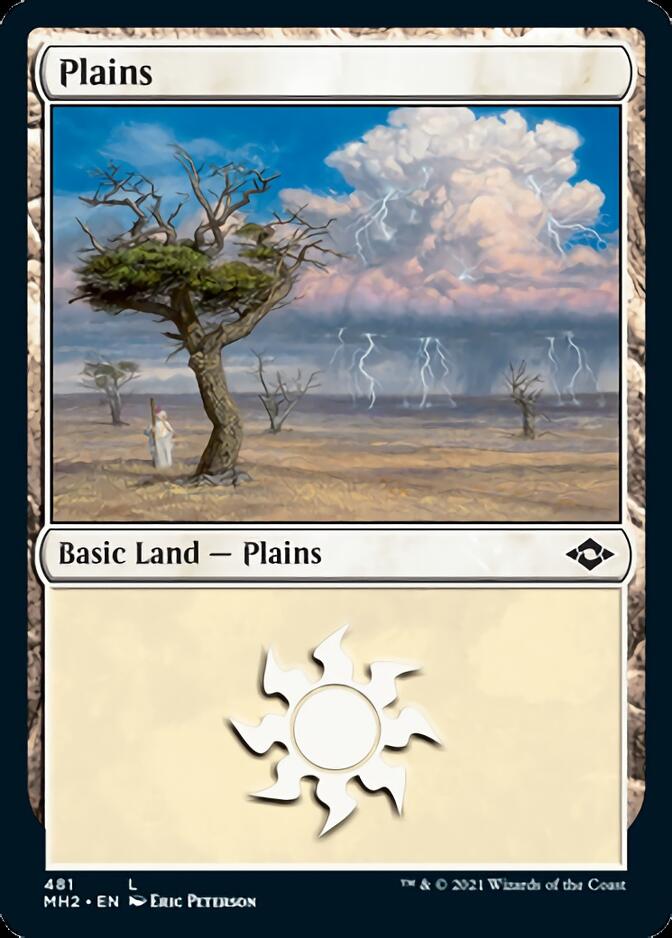 Plains (481) (Foil Etched) [Modern Horizons 2] | Anubis Games and Hobby