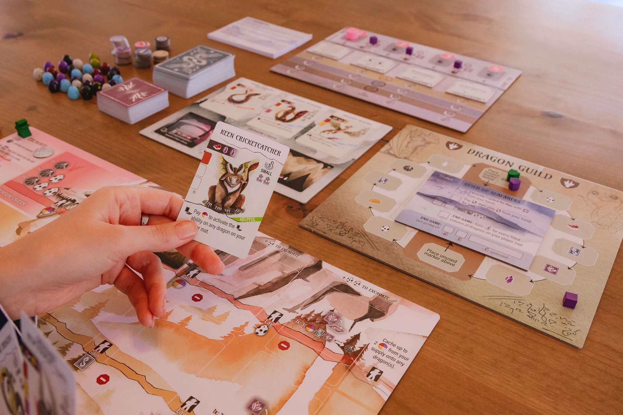 Wyrmspan | Anubis Games and Hobby