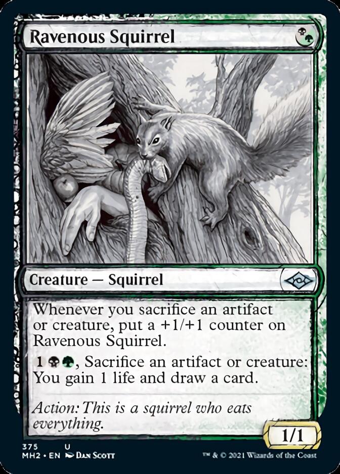Ravenous Squirrel (Sketch) [Modern Horizons 2] | Anubis Games and Hobby