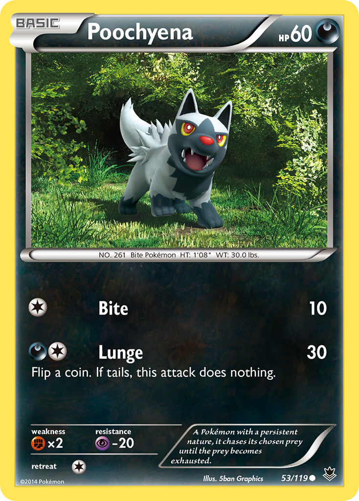 Poochyena (53/119) [XY: Phantom Forces] | Anubis Games and Hobby
