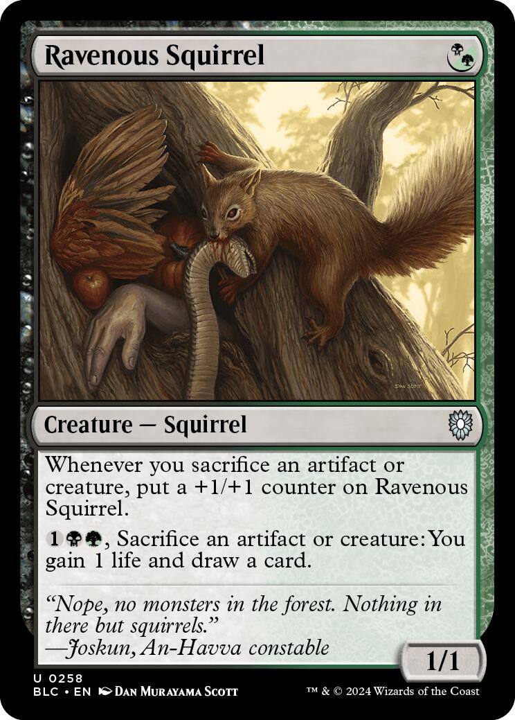 Ravenous Squirrel [Bloomburrow Commander] | Anubis Games and Hobby