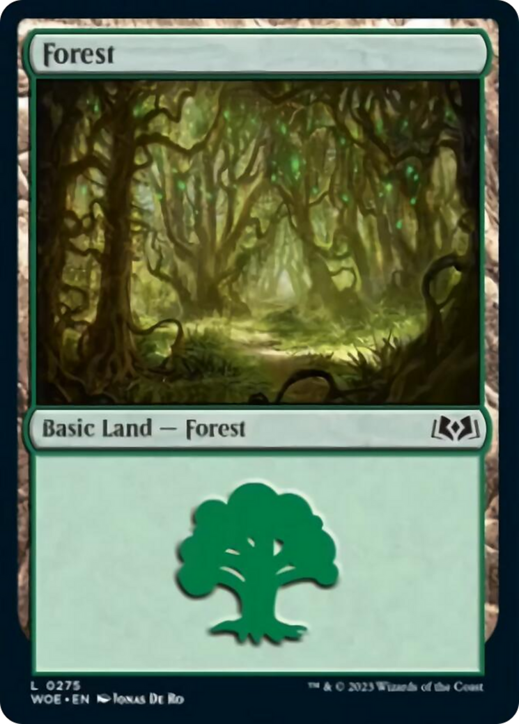 Forest (0275) [Wilds of Eldraine] | Anubis Games and Hobby