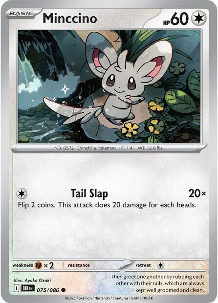 Minccino (075/086) [Scarlet & Violet: Black Bolt] | Anubis Games and Hobby