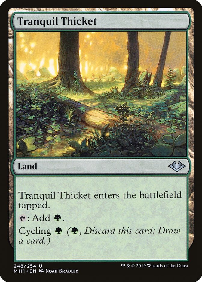 Tranquil Thicket [Modern Horizons] | Anubis Games and Hobby