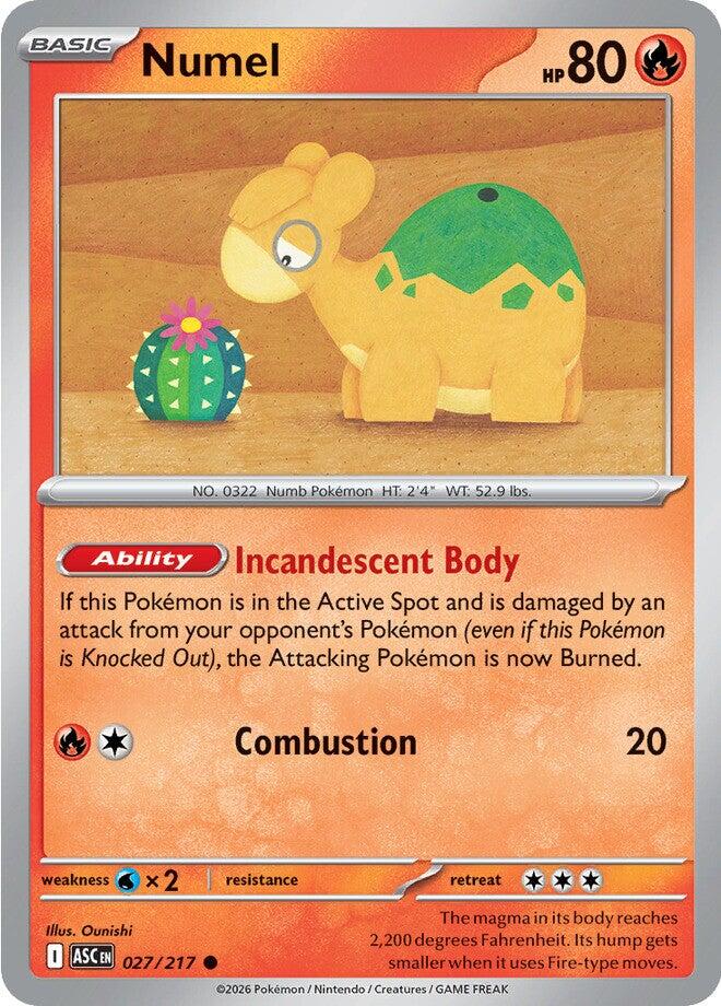 Numel (027/217) [Mega Evolution: Ascended Heroes] | Anubis Games and Hobby