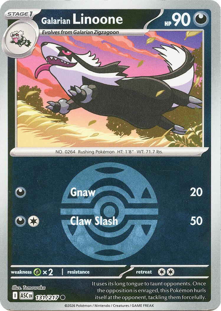 Galarian Linoone (131/217) (Dusk Ball) [Mega Evolution: Ascended Heroes] | Anubis Games and Hobby