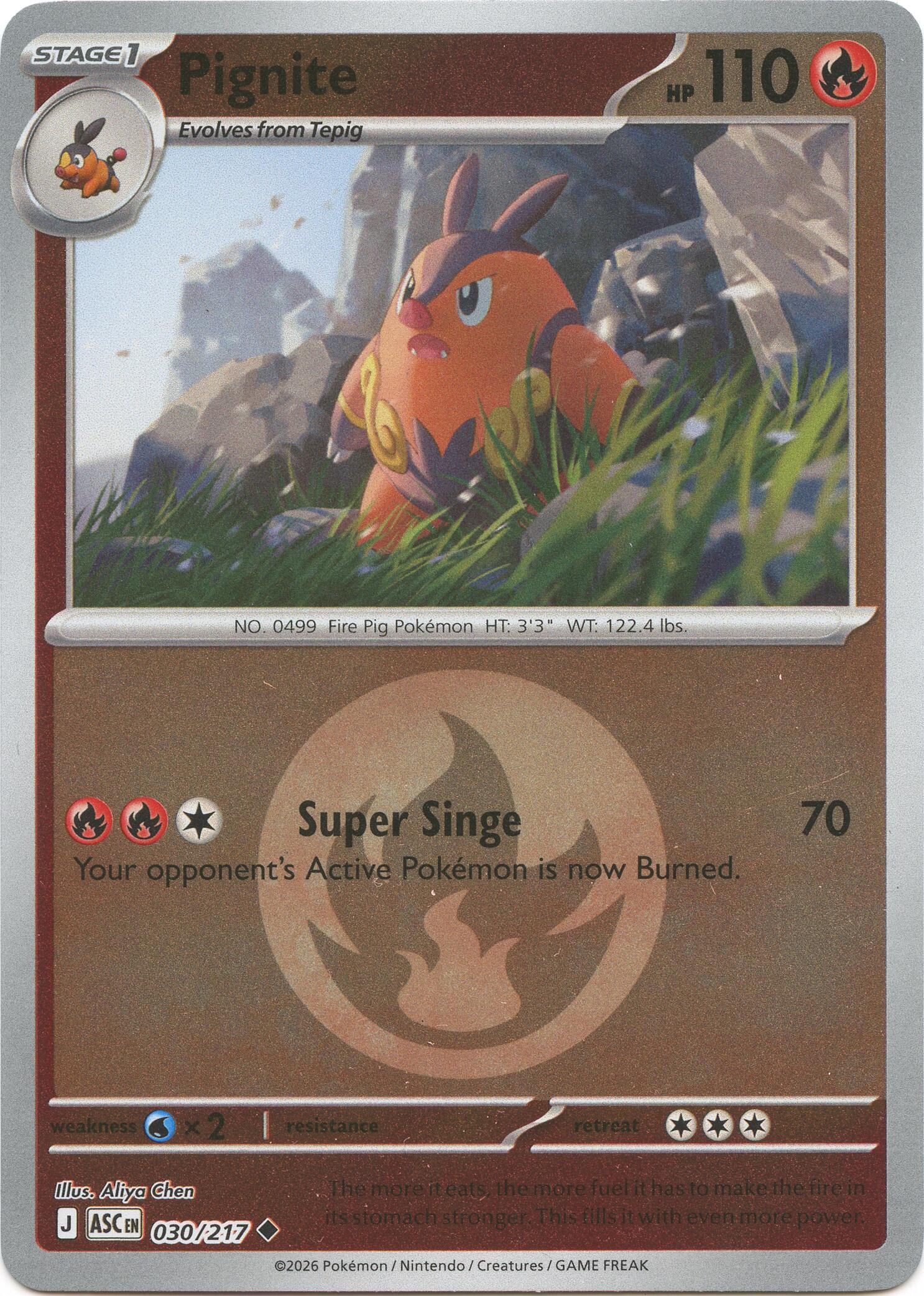 Pignite (030/217) (Energy Symbol Pattern) [Mega Evolution: Ascended Heroes] | Anubis Games and Hobby