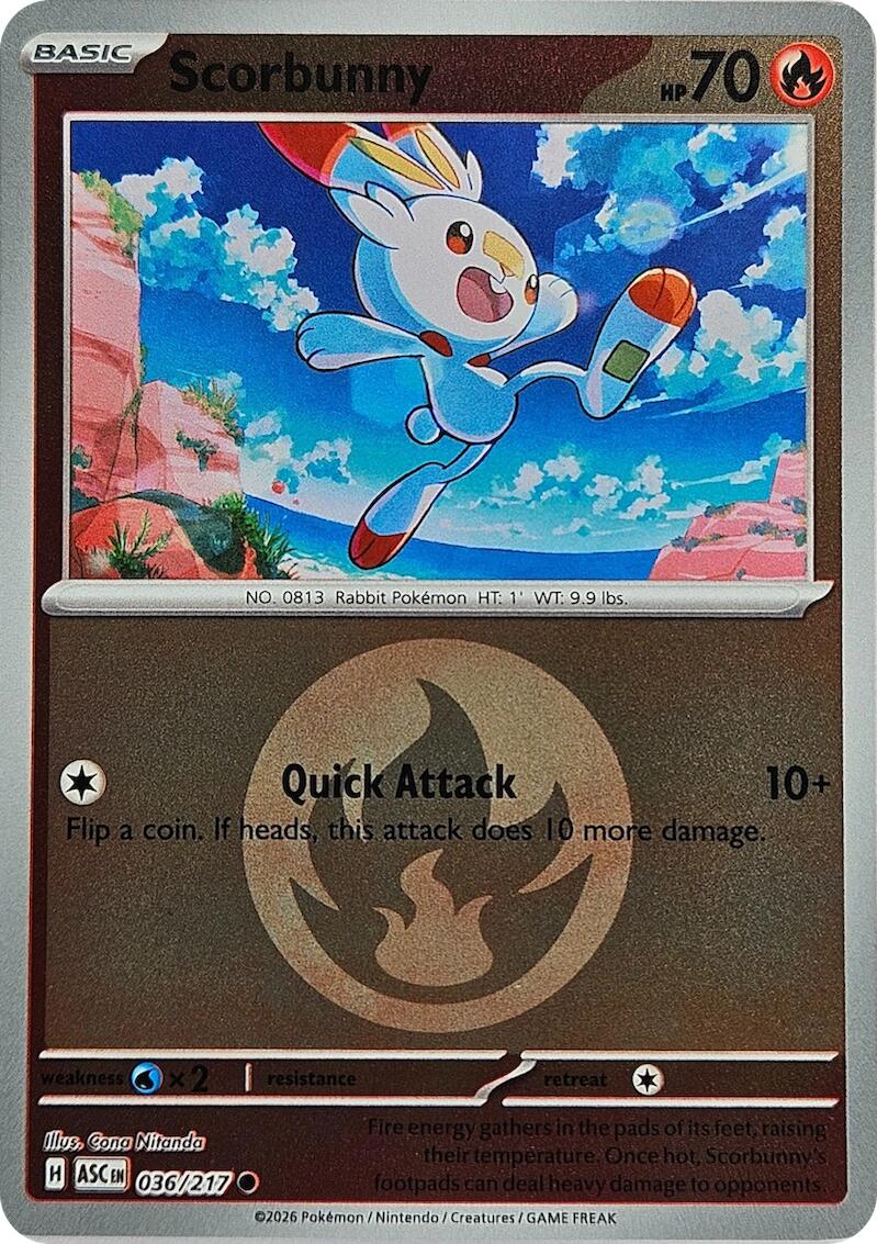 Scorbunny (036/217) (Energy Symbol Pattern) [Mega Evolution: Ascended Heroes] | Anubis Games and Hobby