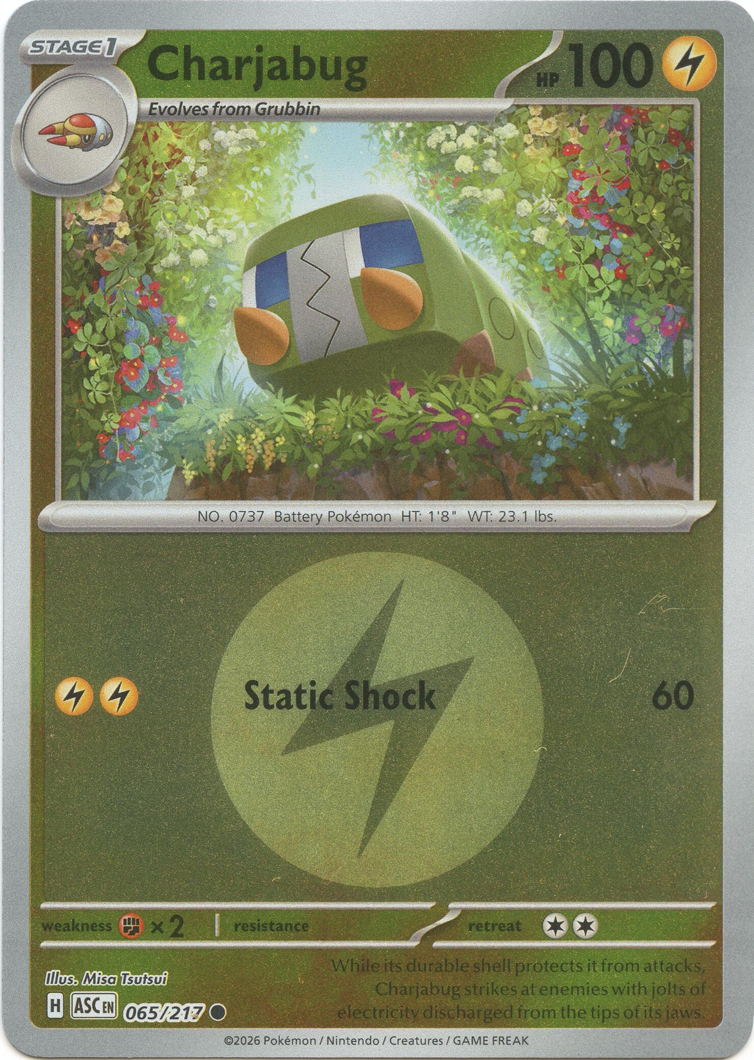 Charjabug (065/217) (Energy Symbol Pattern) [Mega Evolution: Ascended Heroes] | Anubis Games and Hobby