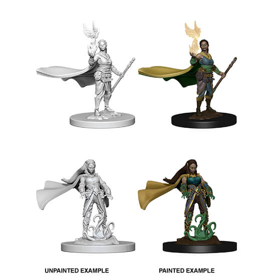 Elf Druid | Anubis Games and Hobby