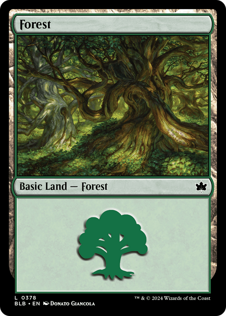 Forest (0378) [Bloomburrow] | Anubis Games and Hobby