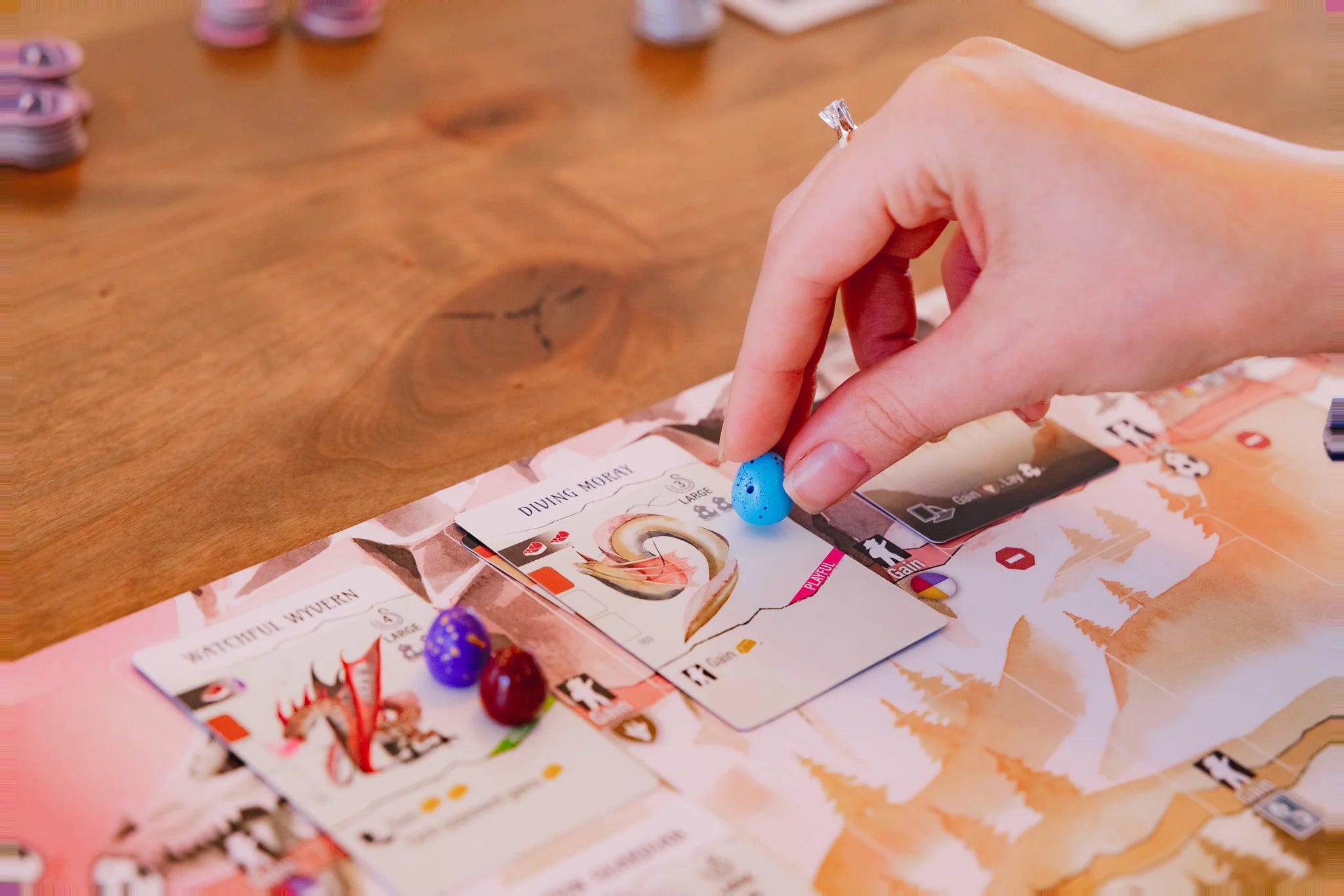 Wyrmspan | Anubis Games and Hobby