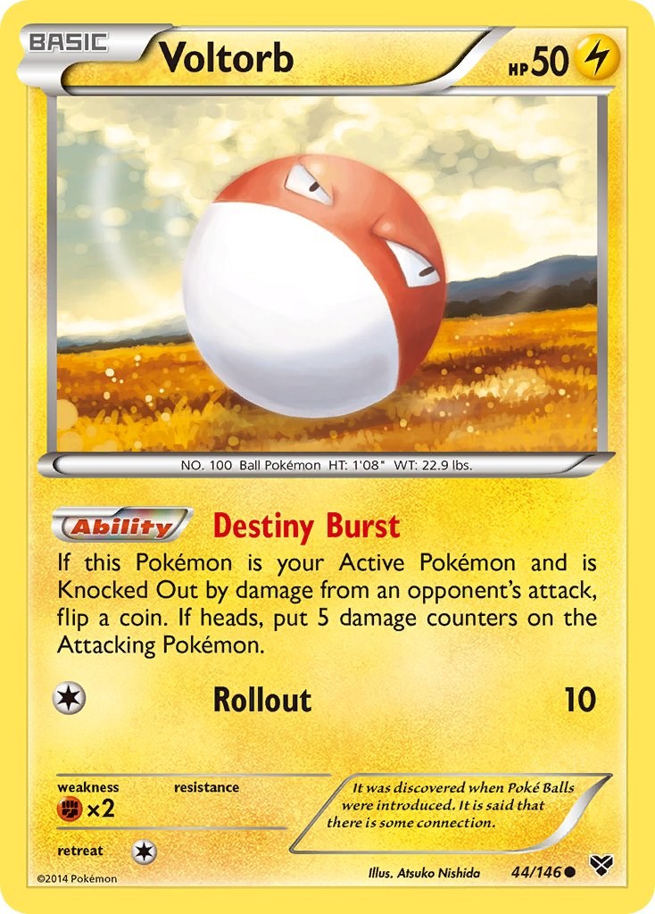 Voltorb (44/146) [XY: Base Set] | Anubis Games and Hobby
