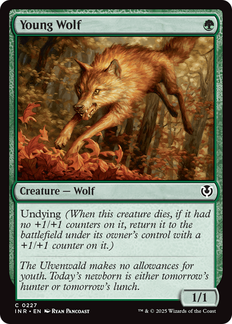 Young Wolf [Innistrad Remastered] | Anubis Games and Hobby