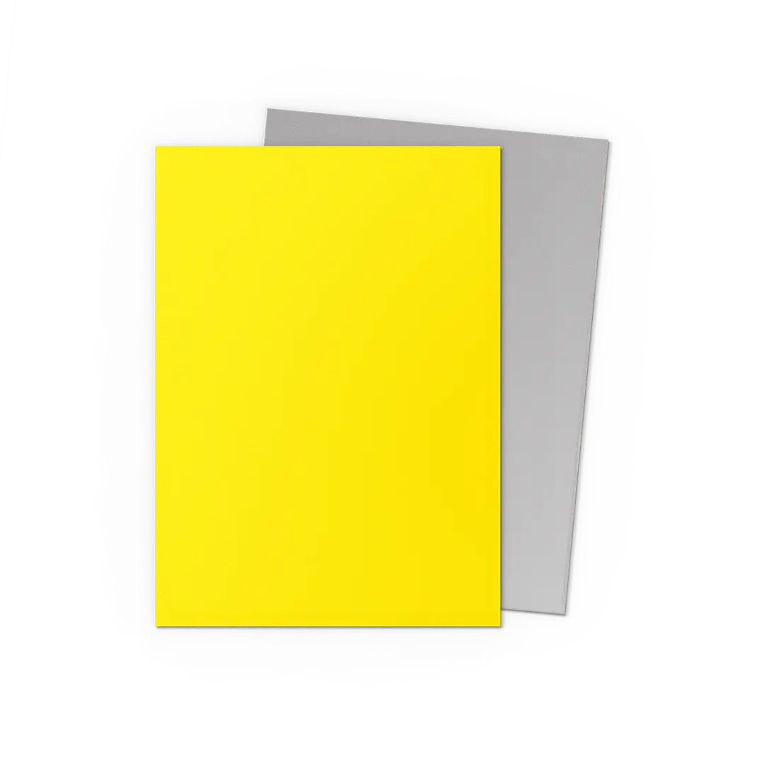 DS Dual Matte Sleeves 100ct - Yellow & Silver | Anubis Games and Hobby