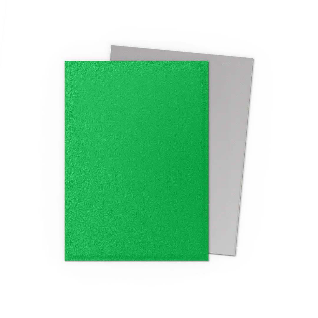 DS Dual Matte Sleeves 100ct - Apple Green & Silver | Anubis Games and Hobby