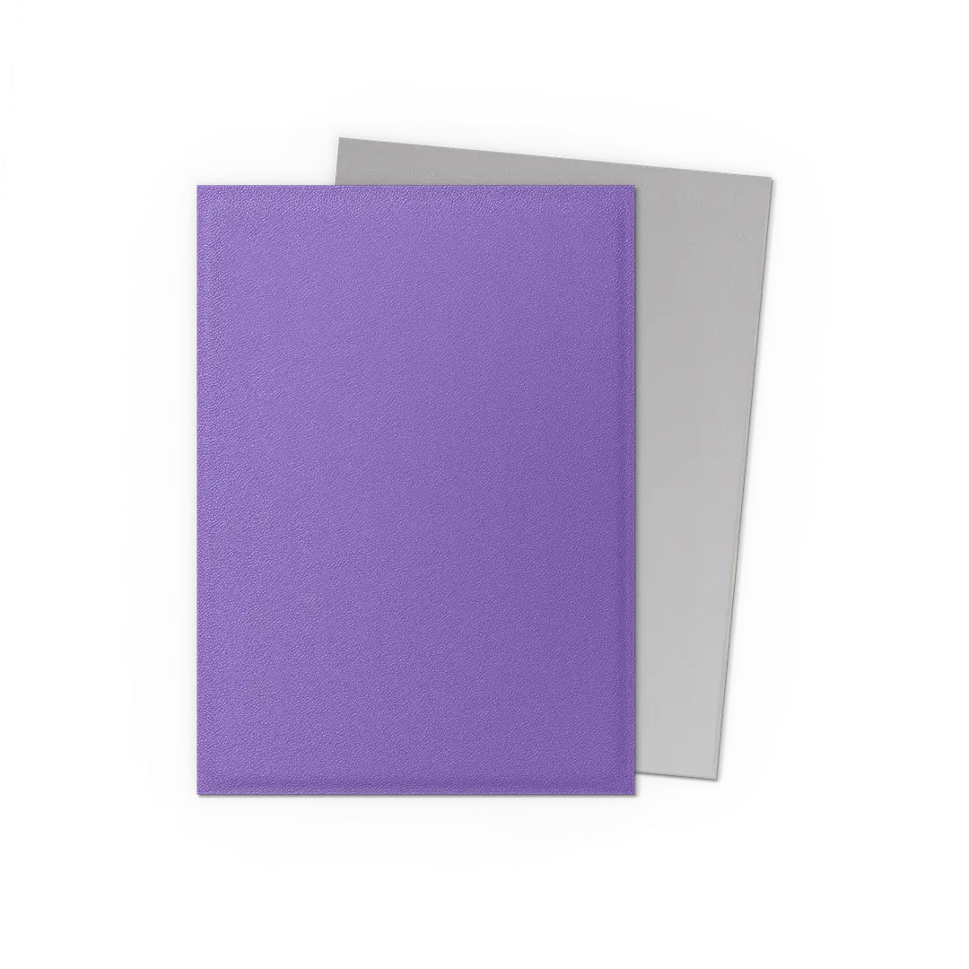 DS Dual Matte Sleeves 100ct - Nebula & Silver | Anubis Games and Hobby
