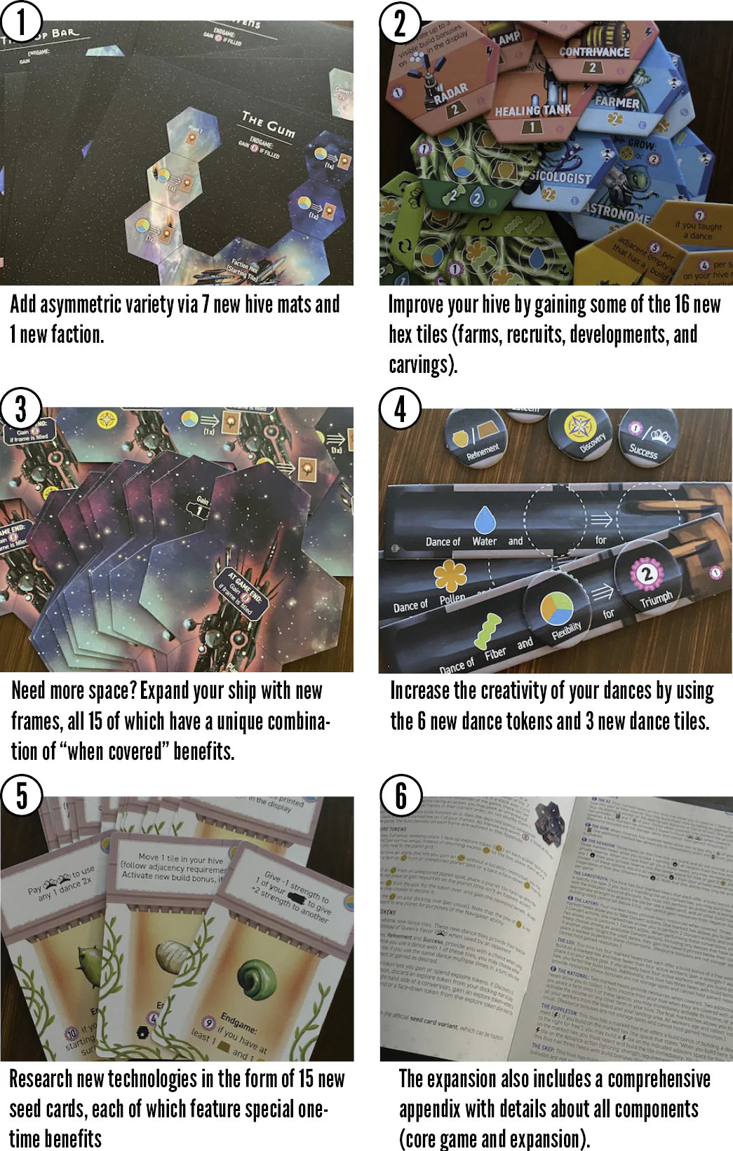 Apiary: Expanding The Hive Expansion | Anubis Games and Hobby