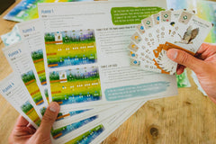 Wingpsan - 2nd Edition | Anubis Games and Hobby