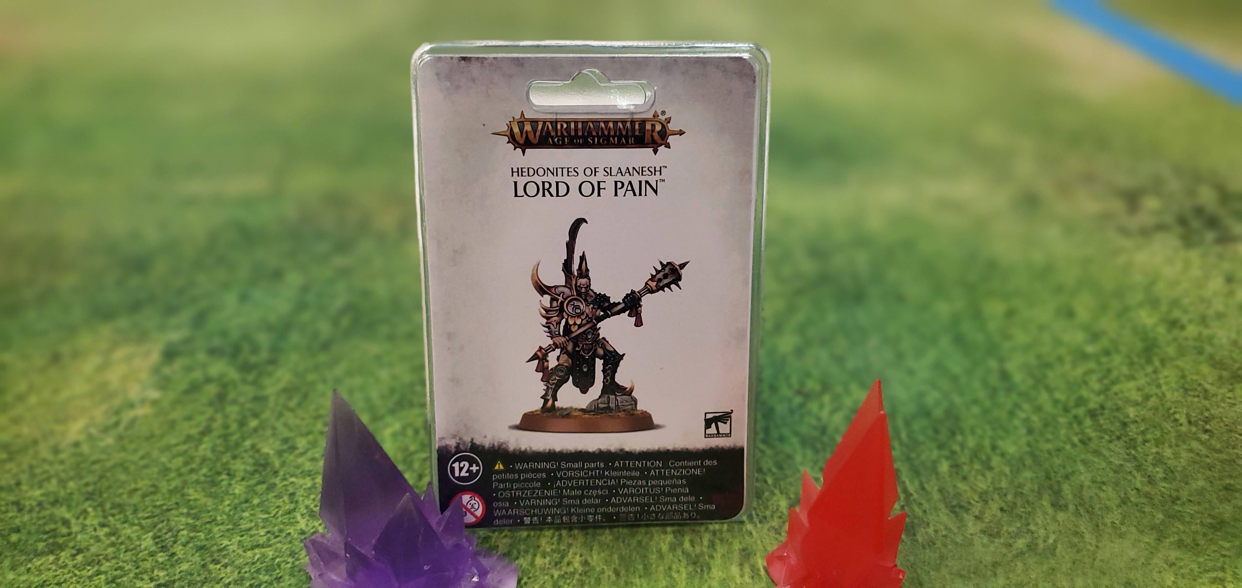 Hedonites of Slaanesh Lord of Pain | Anubis Games and Hobby