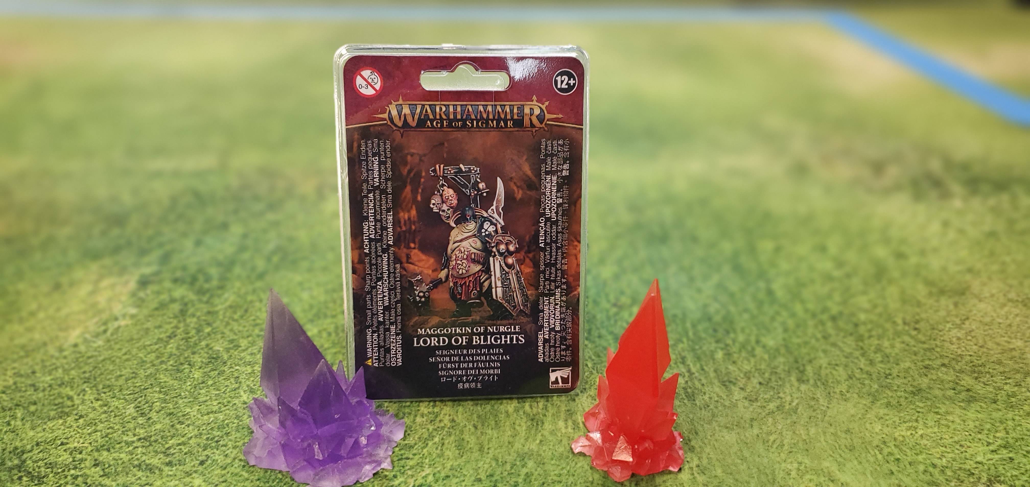 Maggotkin of Nurgle Lord of Blights | Anubis Games and Hobby