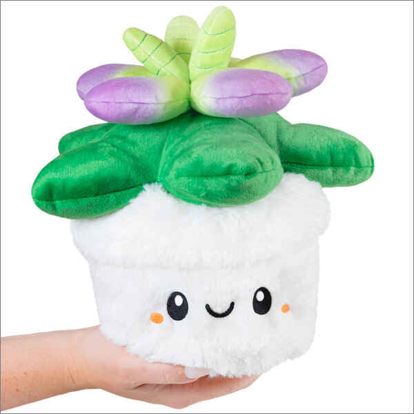 Succulent - Mini | Anubis Games and Hobby