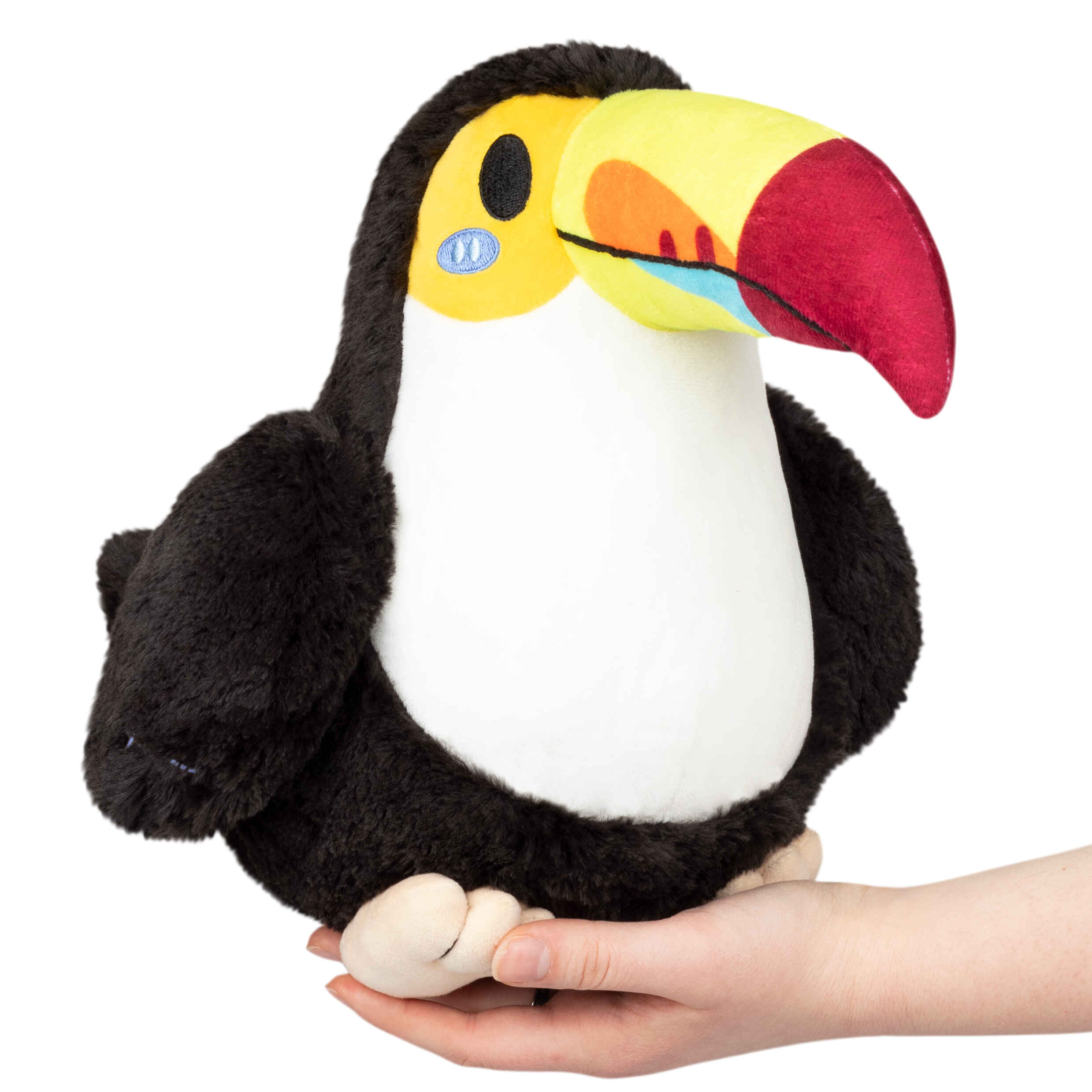 Toucan - Mini | Anubis Games and Hobby