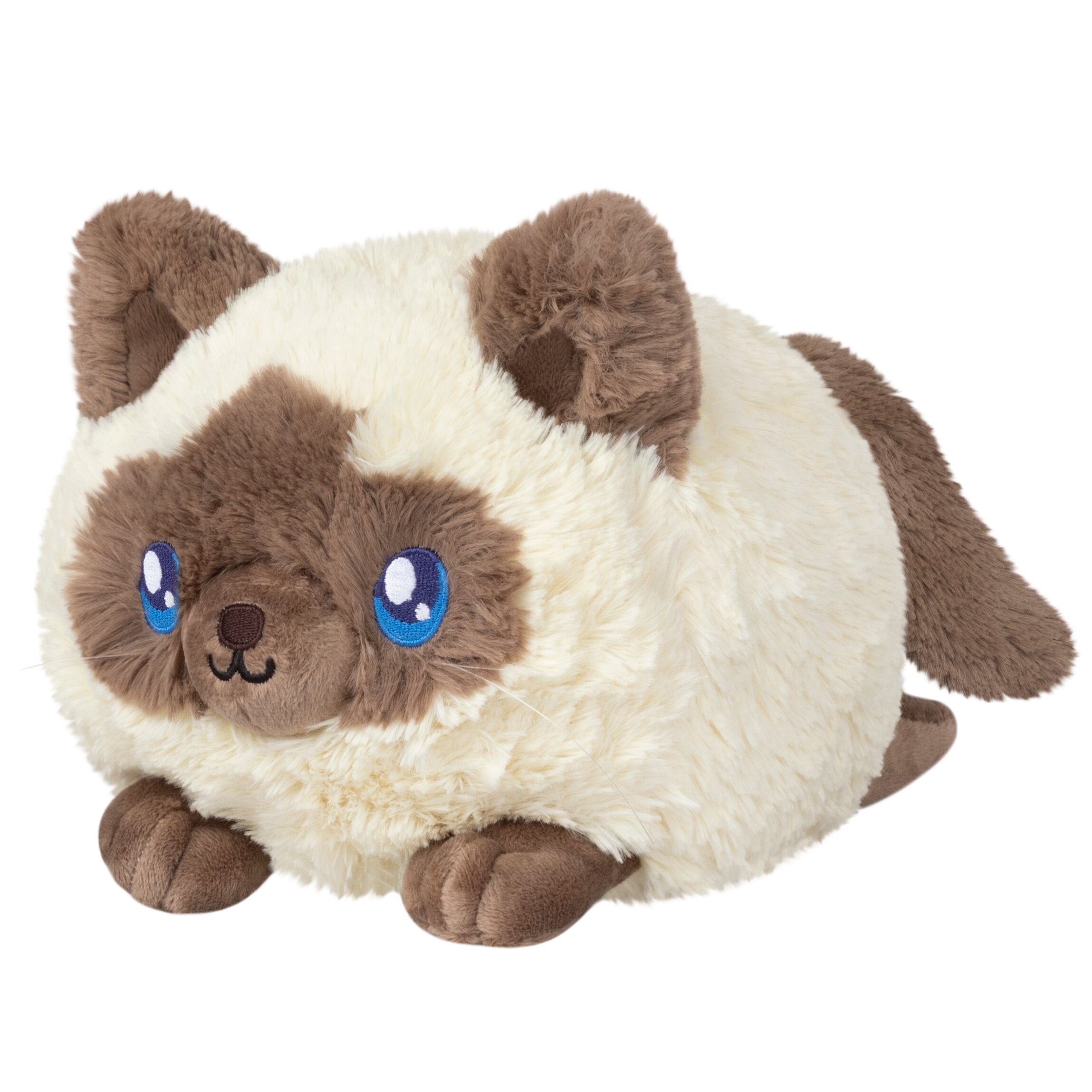 Colorpoint Kitty - Mini | Anubis Games and Hobby