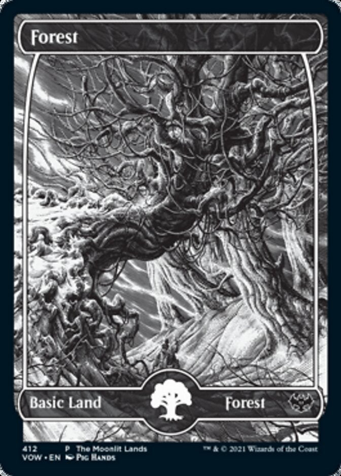 Forest (The Moonlit Lands) (Foil Etched) [Innistrad: Crimson Vow Promos] | Anubis Games and Hobby