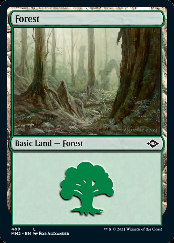 Forest (489) (Foil Etched) [Modern Horizons 2] | Anubis Games and Hobby