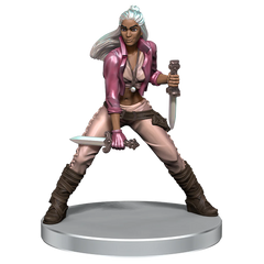 Critical Role The Crown Keepers Boxed Set | Anubis Games and Hobby