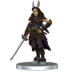 Critical Role The Crown Keepers Boxed Set | Anubis Games and Hobby