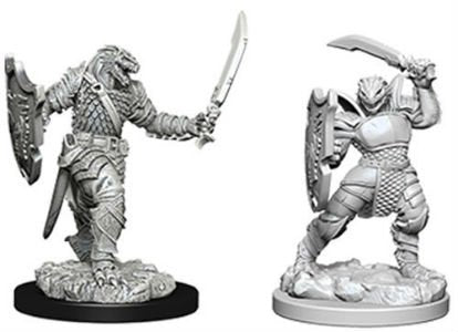 Female Dragonborn Paladin - Unpainted | Anubis Games and Hobby