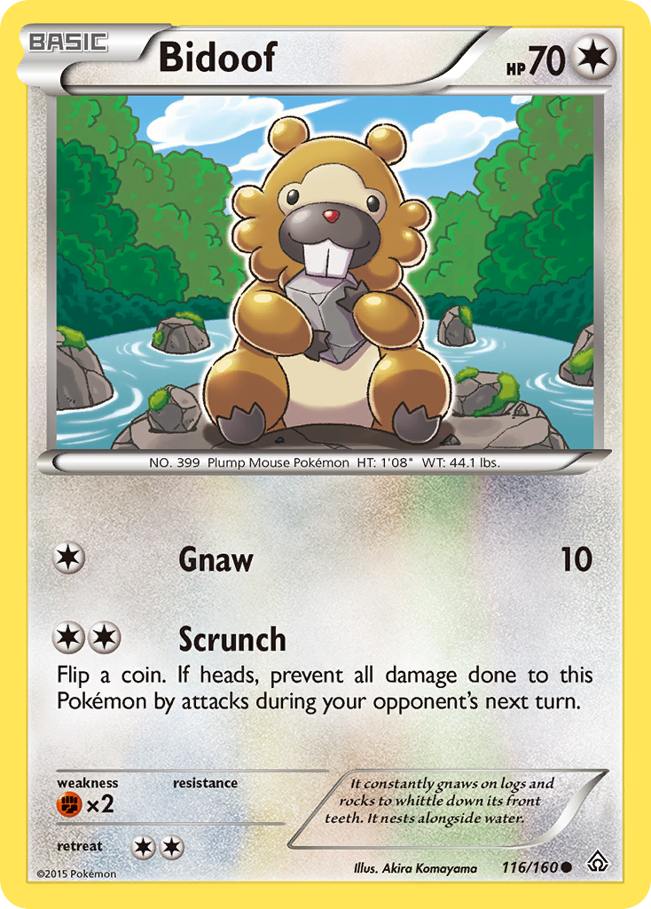 Bidoof (116/160) [XY: Primal Clash] | Anubis Games and Hobby