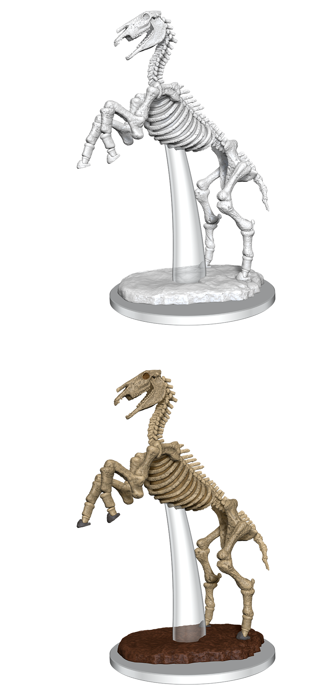 Skeletal Horse | Anubis Games and Hobby