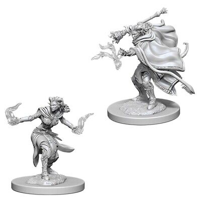 Female Tiefling Warlock - Unpainted | Anubis Games and Hobby