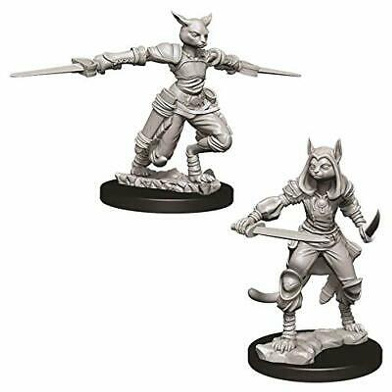 Tabaxi Rogue | Anubis Games and Hobby