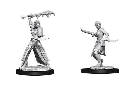 Nolzur's Marvelous Miniatures: Human Rogue - Unpainted | Anubis Games and Hobby