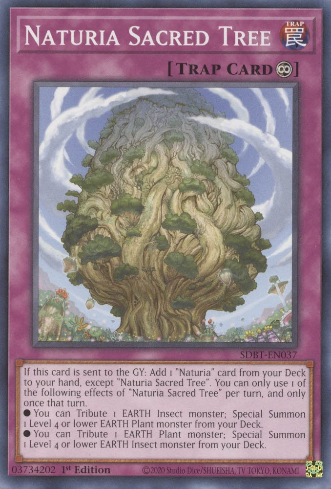 Naturia Sacred Tree [SDBT-EN037] Common | Anubis Games and Hobby